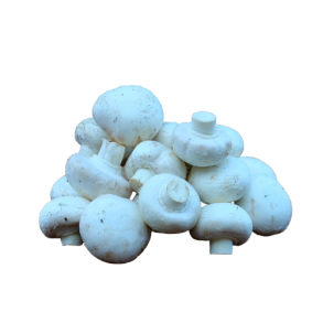 Champignon, hvide,  500gr