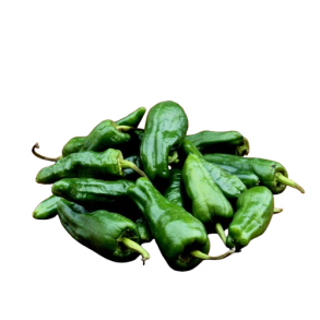 Chili peber, Padron, grn, 70gr
