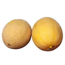 Melon, galia, stk