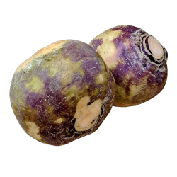 Klrabi, stk (kan ogs kbes p Nddekurven.dk)