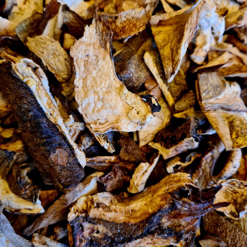 Trret Karl Johan svampe, 500 gr (kan ogs kbes p Nddekurven.dk)