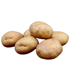 Bage kartoffel, pommes Frits, Maris Piper , stk