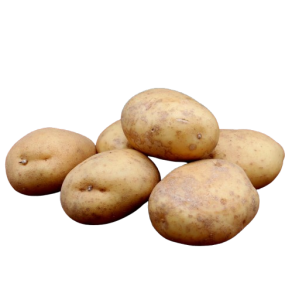 Bage kartoffel, pommes Frits, Maris Piper , stk