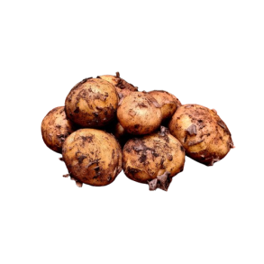Kartofler, nye, DK, 500gr