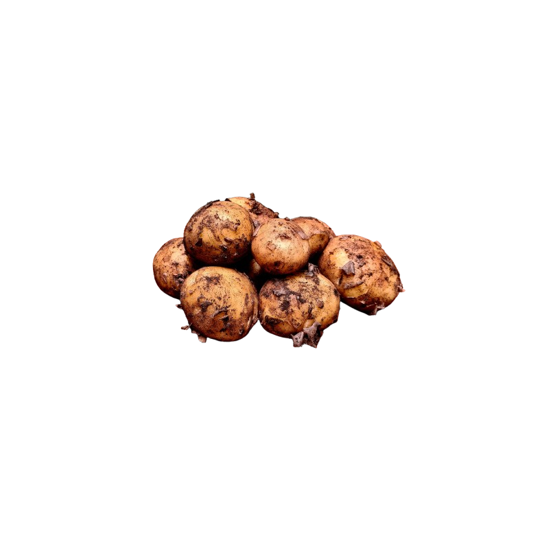 Kartofler, nye, DK, 500gr