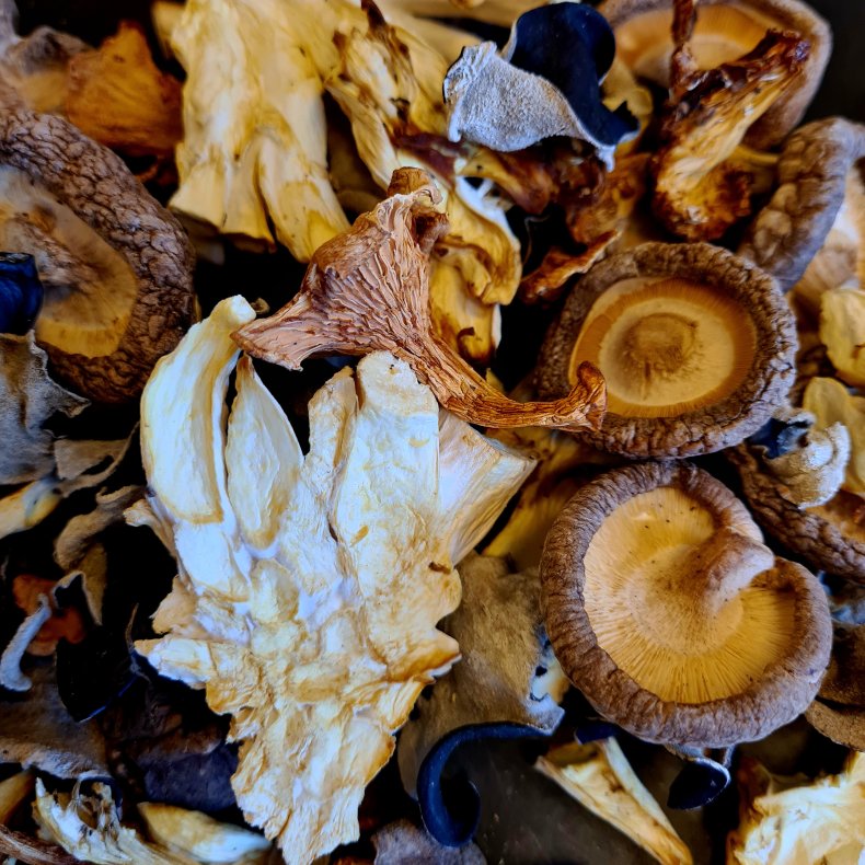 Trret svampe mix , 500 gr (kan ogs kbes p Nddekurven.dk)