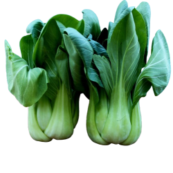 Pack choy mini, 200gr