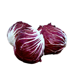 Radicchioe salat, stk