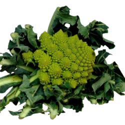 Blomkl, romanesco, stk