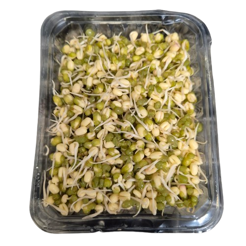 Babybønnespirer, 200gr - Spirer - Torvegrønt.dk