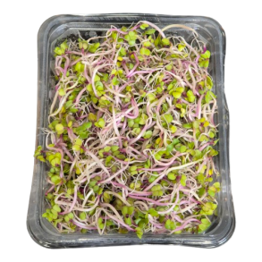 China Rose spirer, 100gr