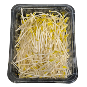 Sukkerrtespirer, 100gr