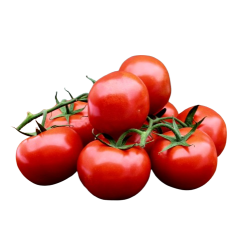 Tomater, stilk, 1 kg