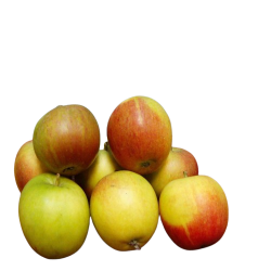 bler, DK, Cox Orange