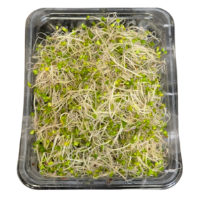 Broccolispirer, 50gr